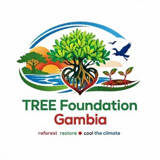 TREE Foundation Gambia — reforest, restore, cool the climate